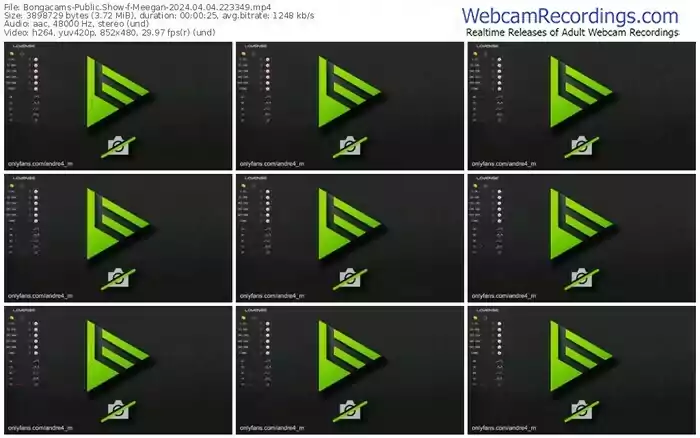 2024/04/04/bongacams-meegan-22-33-49