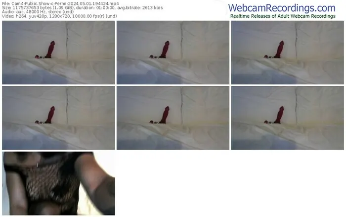 2024/05/01/cam4-permi-19-44-24