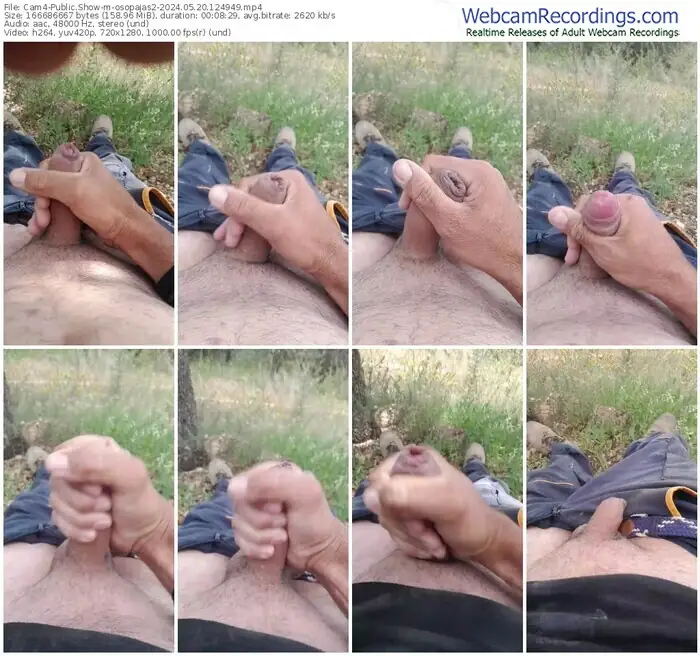 2024/05/20/cam4-osopajas2-12-49-49