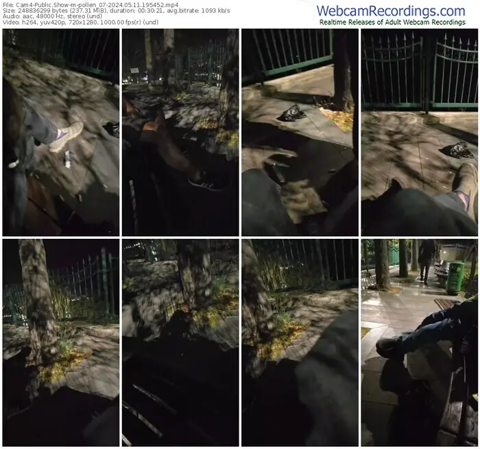 2024/05/11/cam4-pollen_07-19-54-52