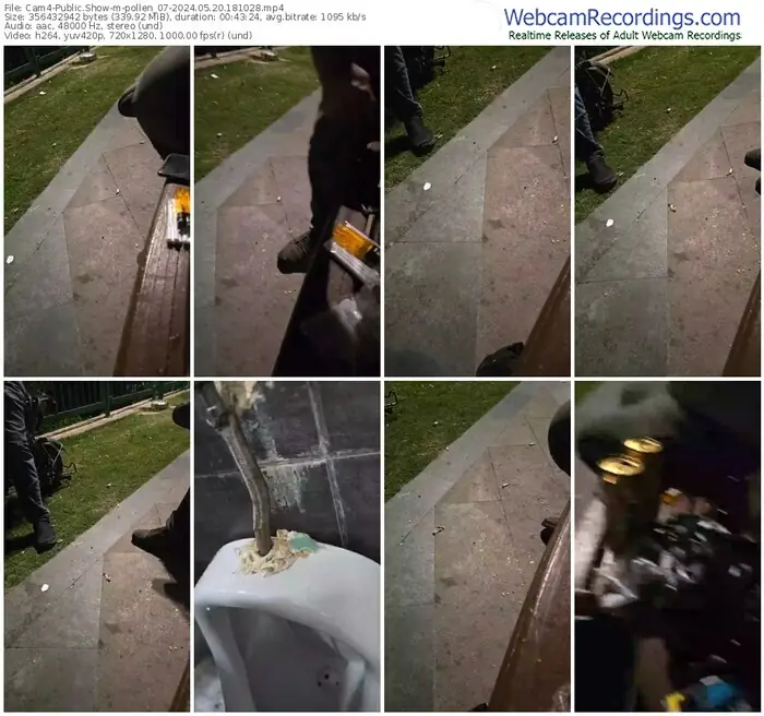 2024/05/20/cam4-pollen_07-18-10-28