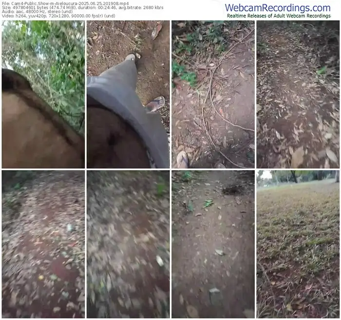 2025/06/25/cam4-aieloucura-20-19-08