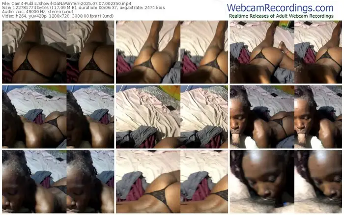 2025/07/07/cam4-danapanterr-00-23-50