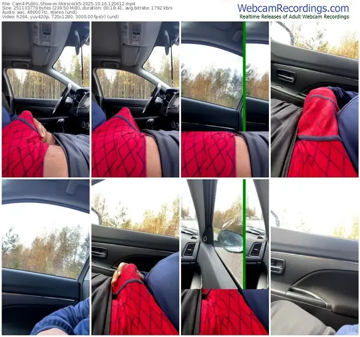 2025/10/16/cam4-likescock5-12-06-12