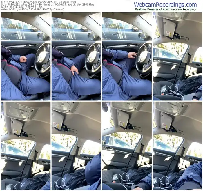 2025/10/19/cam4-likescock5-12-02-03