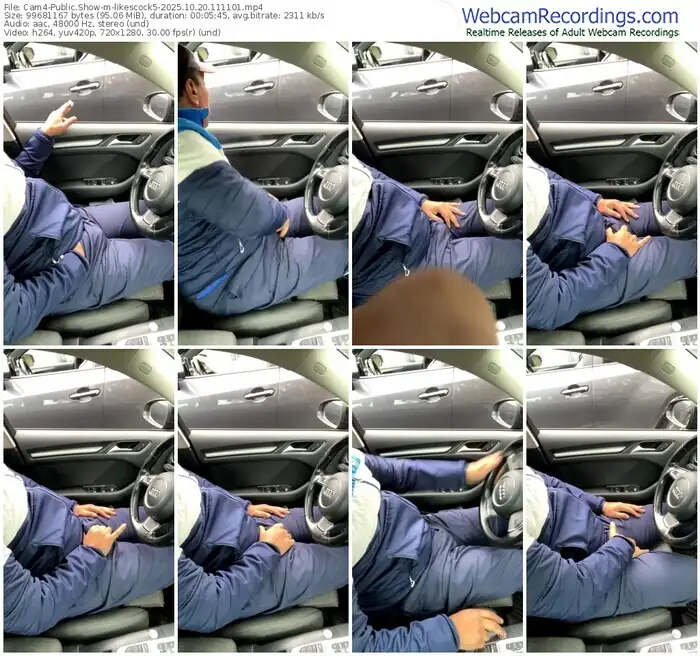 2025/10/20/cam4-likescock5-11-11-01