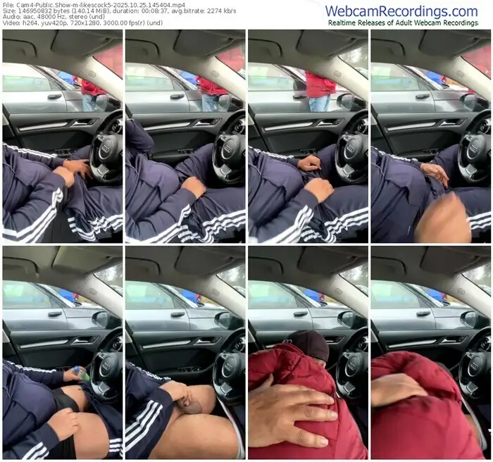 2025/10/25/cam4-likescock5-14-54-04