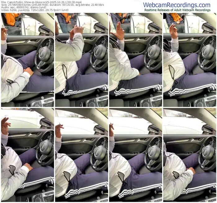 2025/10/26/cam4-likescock5-13-31-30