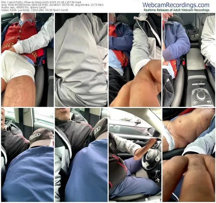 2025/10/28/cam4-likescock5-12-57-42