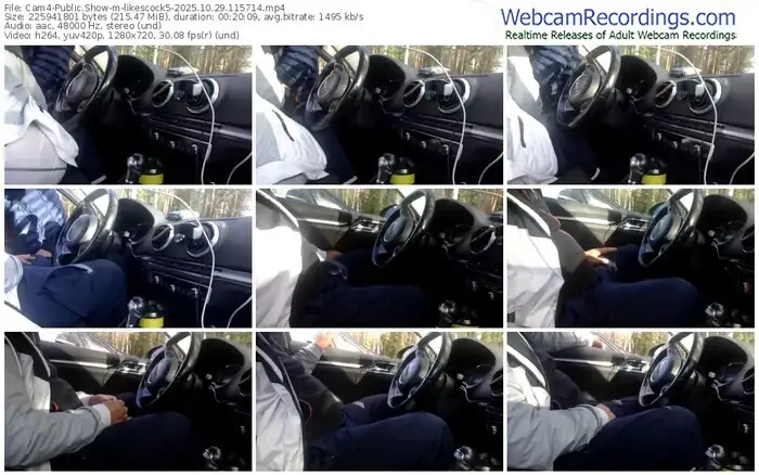 2025/10/29/cam4-likescock5-11-57-14