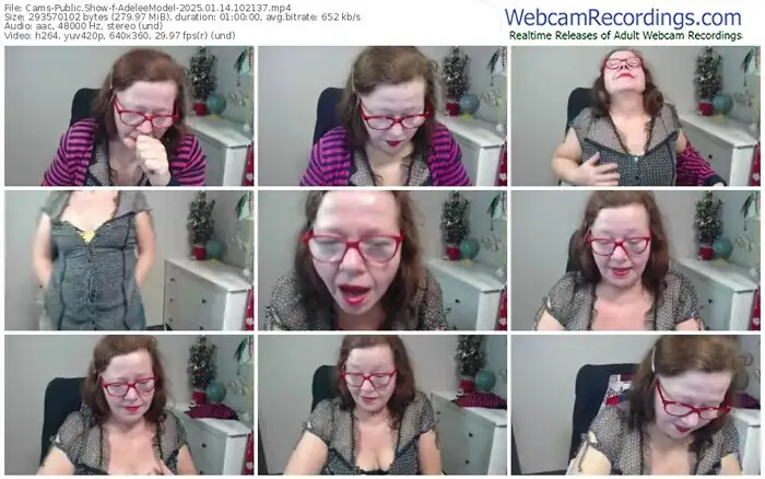 2025/01/14/cams-adeleemodel-10-21-37