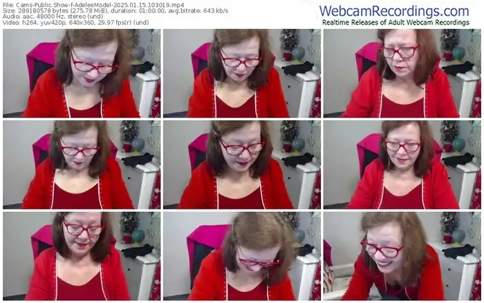 2025/01/15/cams-adeleemodel-10-30-19