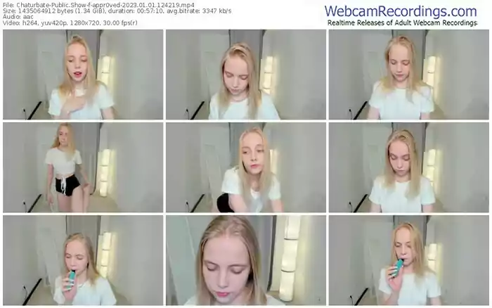 2023/01/01/chaturbate-appr0ved-12-42-19