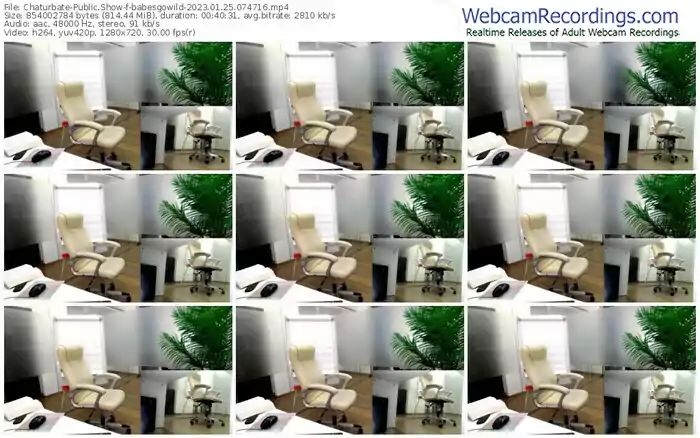 2023/01/25/chaturbate-babesgowild-07-47-16