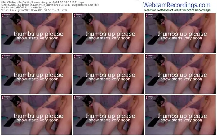 2024/06/02/chaturbate-8abycat-19-19-21