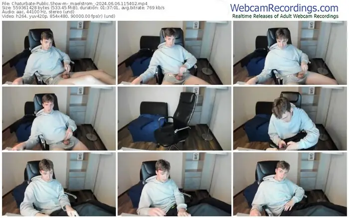 2024/06/06/chaturbate-_maelstrom_-11-54-02