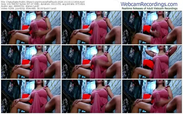 2024/10/10/chaturbate-urprincessofselfsuck-11-14-04