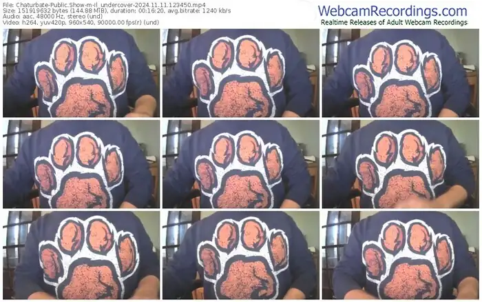 2024/11/11/chaturbate-il_undercover-12-34-50