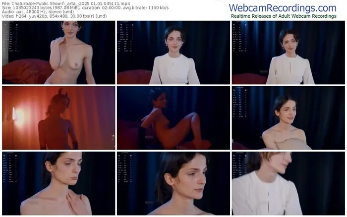 2025/01/01/chaturbate-_arta_-04-51-11