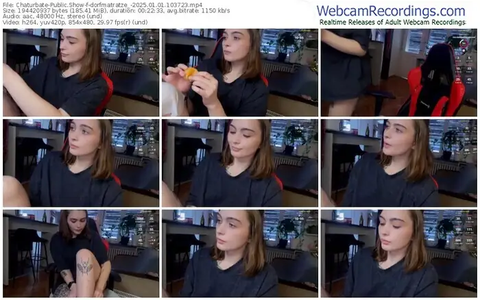 2025/01/01/chaturbate-dorfmatratze_-10-37-23