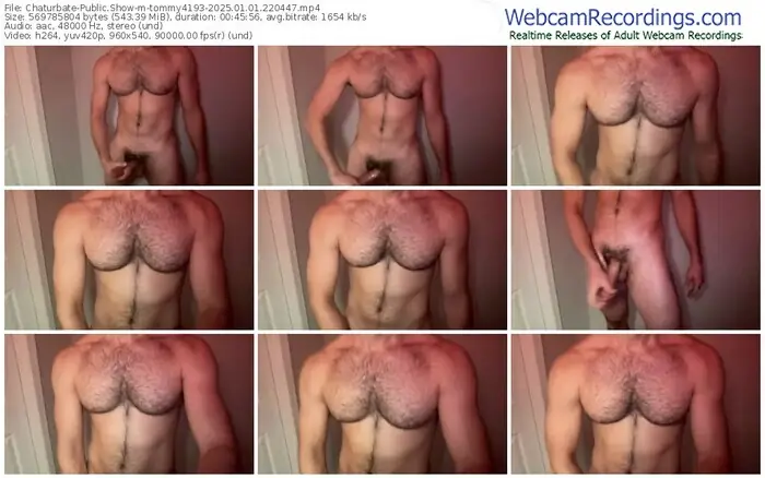 2025/01/01/chaturbate-tommy4193-22-04-47