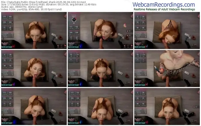 2025/08/08/chaturbate-redhead_shark-22-01-32