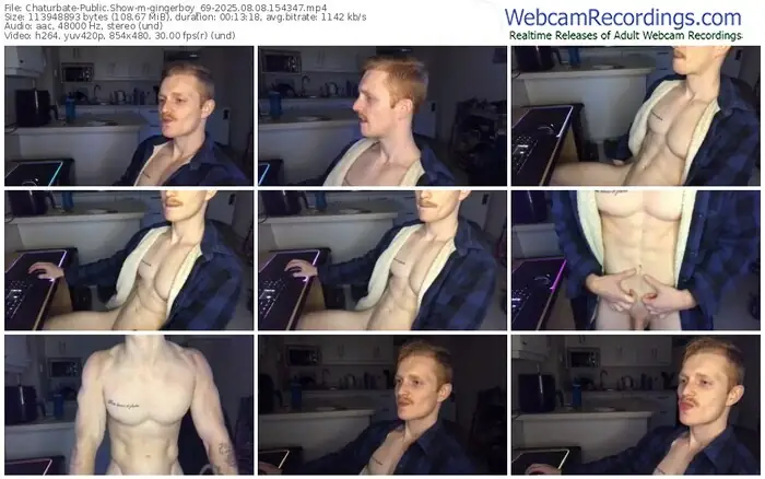 2025/08/08/chaturbate-gingerboy_69-15-43-47