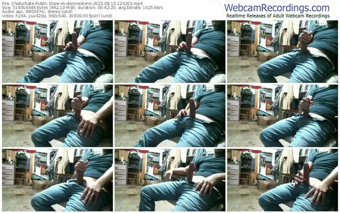 2025/08/13/chaturbate-donniestone-12-32-03