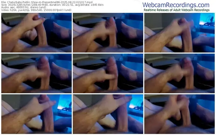 2025/08/22/chaturbate-thesentinel86-02-10-17