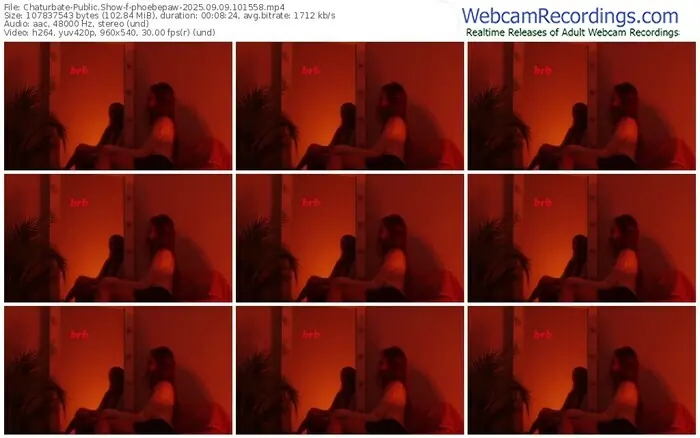 2025/09/09/chaturbate-phoebepaw-10-15-58
