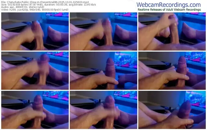 2025/10/01/chaturbate-thesentinel86-02-56-00