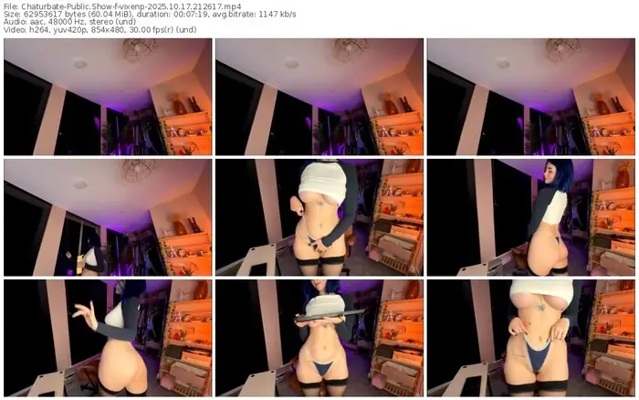 2025/10/17/chaturbate-vixenp-21-26-17