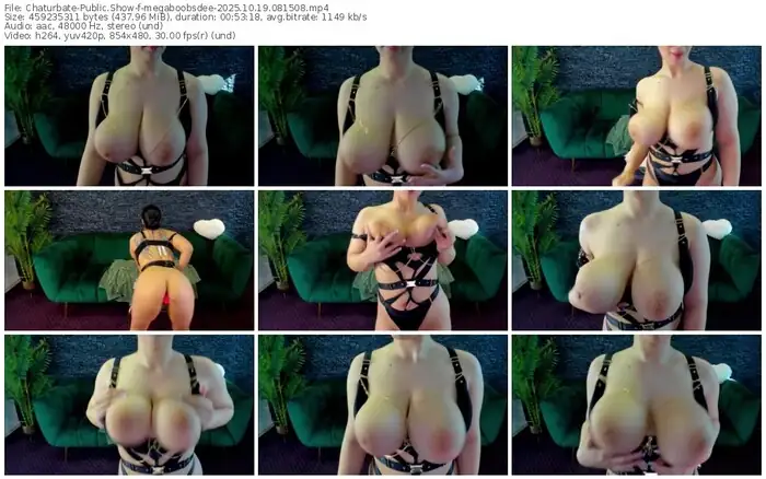 2025/10/19/chaturbate-megaboobsdee-08-15-08