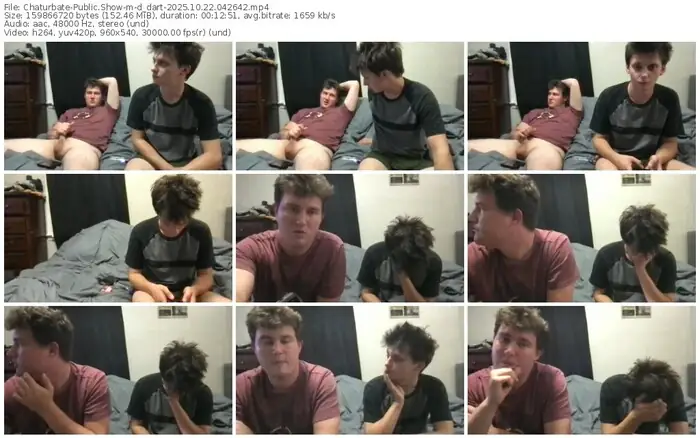 2025/10/22/chaturbate-d_dart-04-26-42