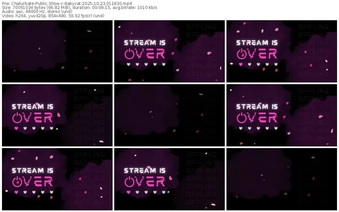 2025/10/23/chaturbate-8abycat-01-18-30