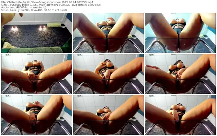 2025/10/24/chaturbate-megaboobsdee-08-23-53