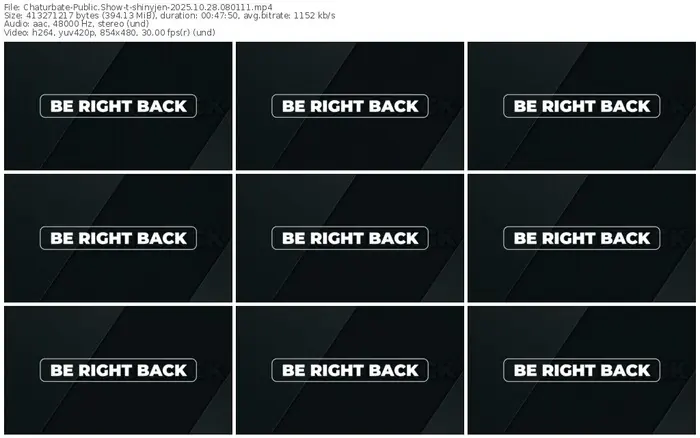 2025/10/28/chaturbate-shinyjen-08-01-11