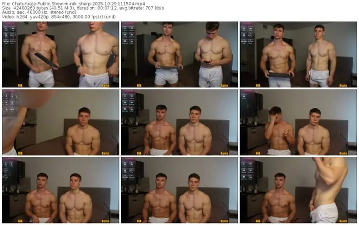 2025/10/29/chaturbate-nik_sharp-11-15-04