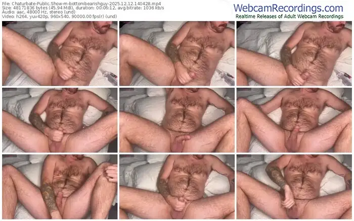 2025/12/12/chaturbate-bottombearishguy-14-04-28