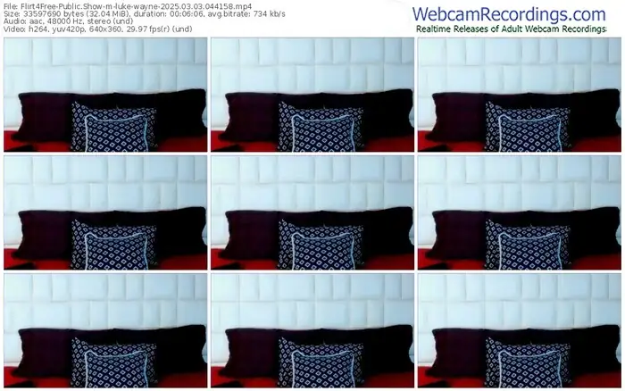 2025/03/03/flirt4free-luke-wayne-04-41-58