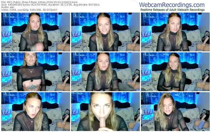 2024/05/03/mfc-rose_kitten-23-24-22