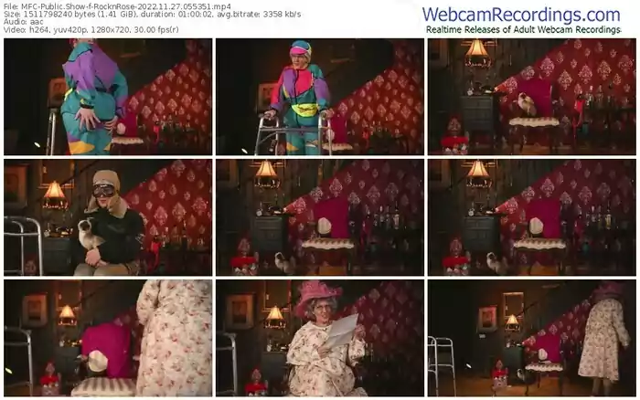 2022/11/27/mfc-rocknrose-05-53-51