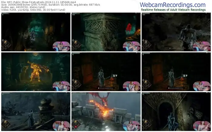 2024/11/11/mfc-katyafods-18-56-48