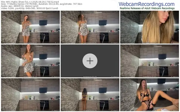 2025/08/29/mfc-a_r_t-17-01-52