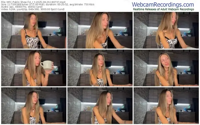 2025/08/29/mfc-a_r_t-18-07-37