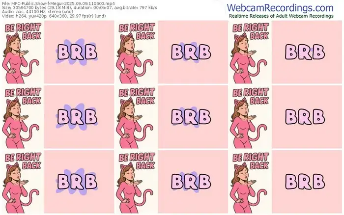 2025/09/09/mfc-megui-11-06-00