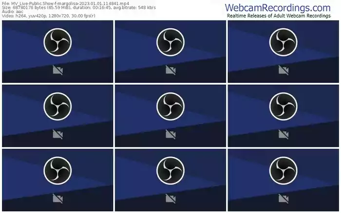 2023/01/01/mv_live-margolisa-11-48-41