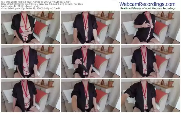 2024/07/07/streamate-anniebee-15-38-19