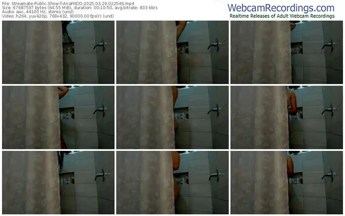 2025/03/29/streamate-ariafitdd-02-25-46