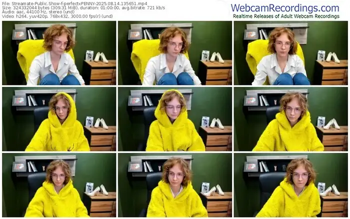 2025/08/14/streamate-perfectxpenny-13-56-51
